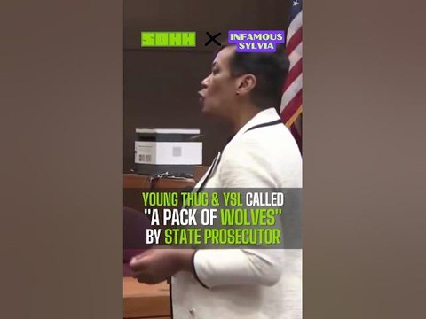 Young Thug & YSL Called A Pack Of Wolves By State Prosecutor