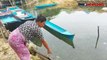 Kemunculan Buaya 3 Meter di Permukiman Hebohkan Warga Buton, Sulawesi Tenggara