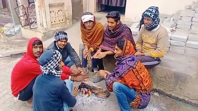 Video : एक दिन धूप तो दूसरे दिन छा रहा कोहरा, सरसों, धनिया के चपेट में आने की बढ़ी आशंका