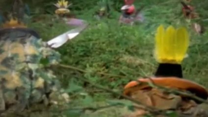 Doctor Who Season 19 Episode 3 Castrovalva Pt 3