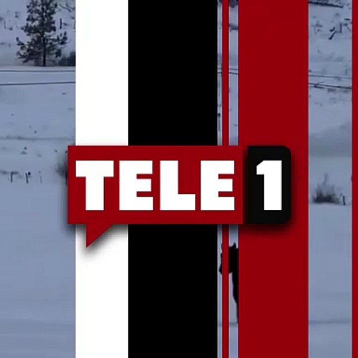 Sosyal medyayı ikiye bölen görüntü! At geliyor mu gidiyor mu?