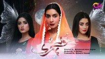 Hoor Pari - aPlus Entertainment Episode 26