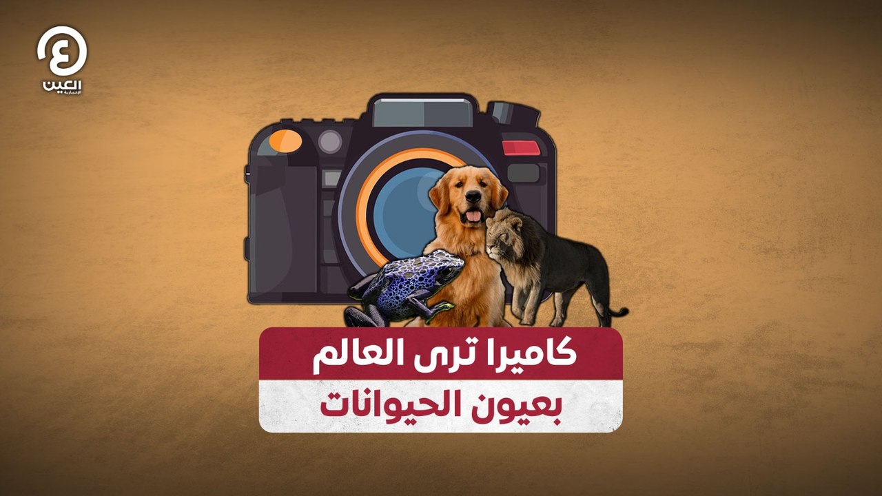 كاميرا ترى العالم بعيون الحيوانات