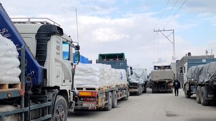 حركة دخول المساعدات الإنسانية عبر معبر رفح إلى قطاع غزة