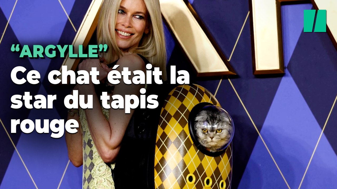 La vraie star de l’avant première du nouveau film d’Henry Cavill était un chat