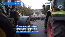 El descontento crece entre los agricultores europeos con manifestaciones en toda Europa