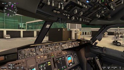 Microsoft Flight Simulator 2020 LEBL-LIPZ_737-800 PMDG