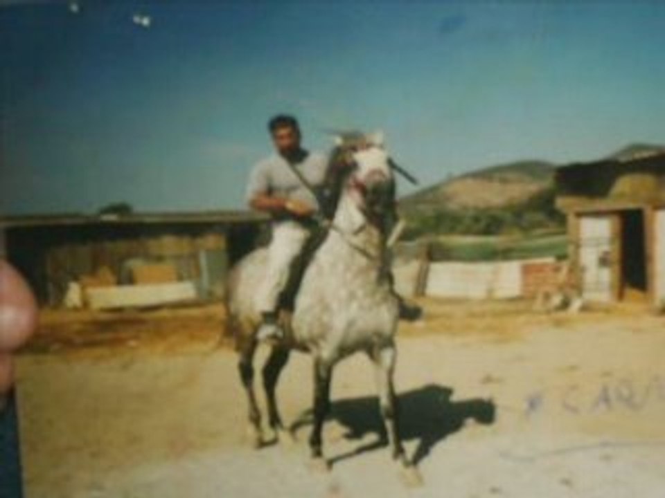 el pelon motado en caballo