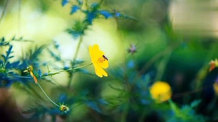 The Best Voice Reciting Surah Takasur