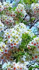 جمال الطبيعة بالمغرب