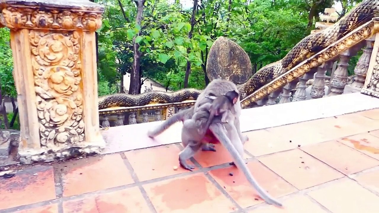 Poor mother is so cruel with tiny baby, Emila mistreat her baby (720p_25fps_H264-192kbit_AAC)