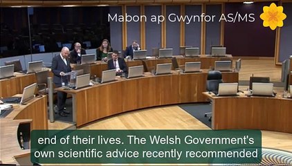 MS Mabon ap Gwynfor on hospice funding