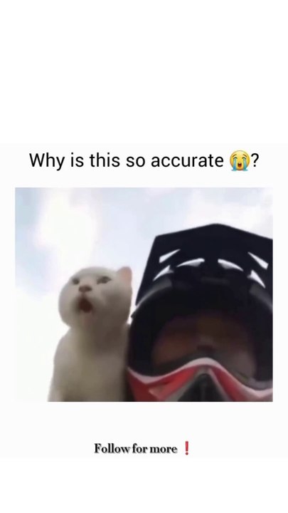 you laugh, you restart