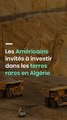 Les Américains invités à investir dans les terres rares en Algérie