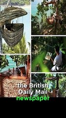 Thai restaurant in the form of a sparrow between trees