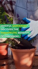 Zen Stretch Calm Yoga for Flexibility