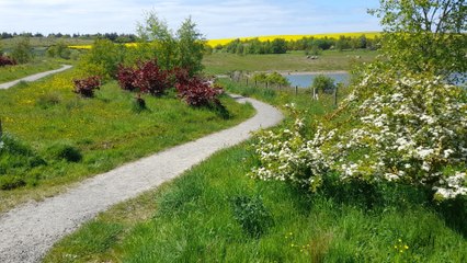 Northumberland park receives cash boost from Co-Op
