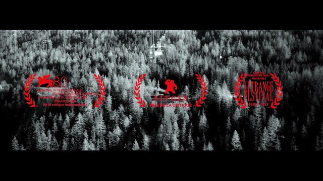 Universal Theory Bande-annonce VO