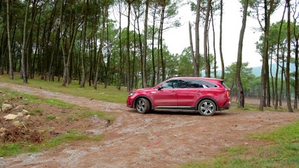 SOLO CAMPING - Night of Fear...The Thief Targeted My Tent - Wild Forest Life