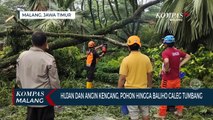 Pohon dan Baliho Caleg di Malang Tumbang Diterjang Hujan dan Angin Kencang