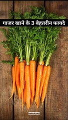 Magic Benefits of Carrot...