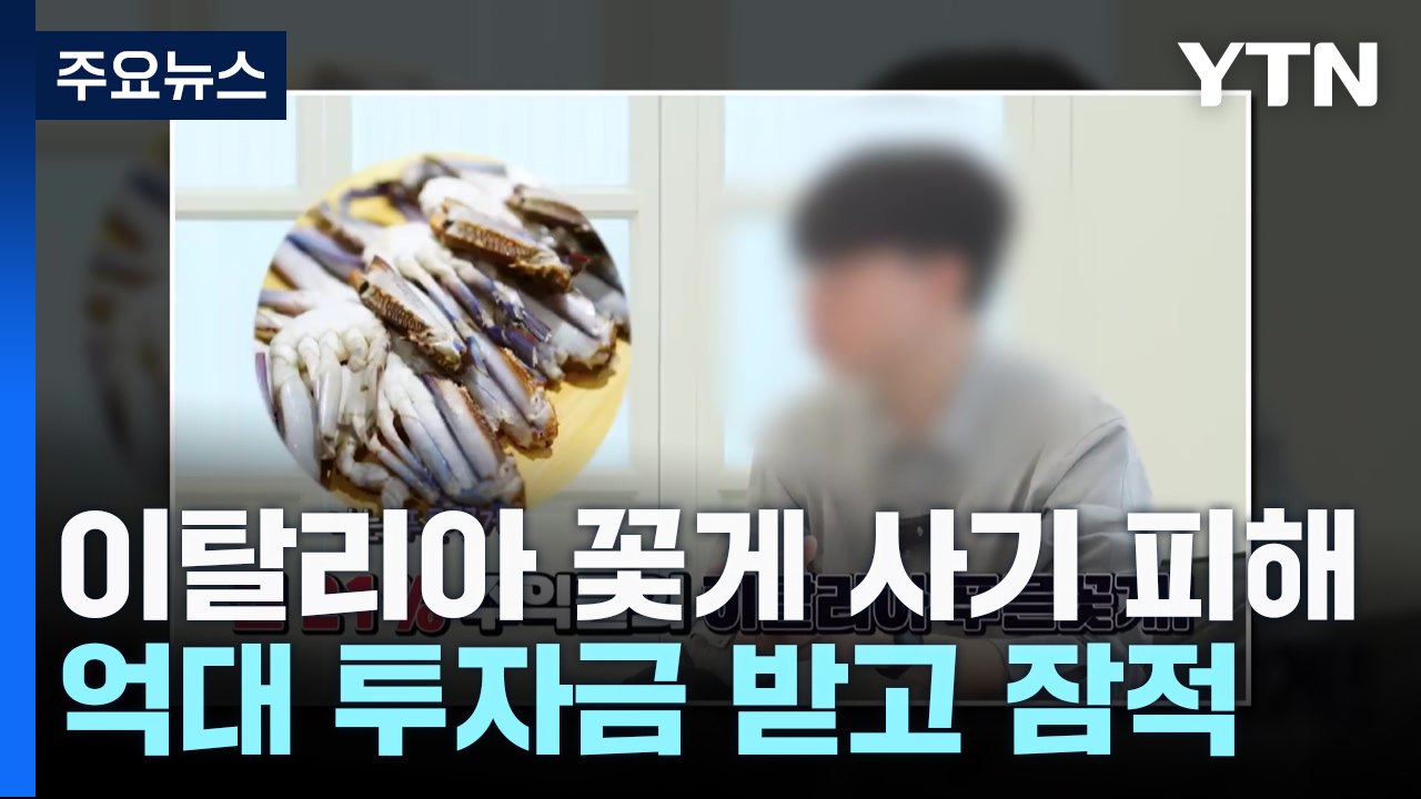 '이탈리아 푸른 꽃게' 억대 투자금 받고 잠적...30여 명 '발동동' / YTN
