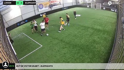 But de Victor Zilbet - ELEPHANTS