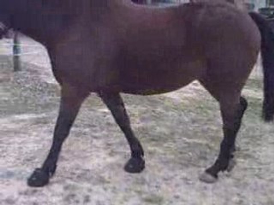 PICT0002