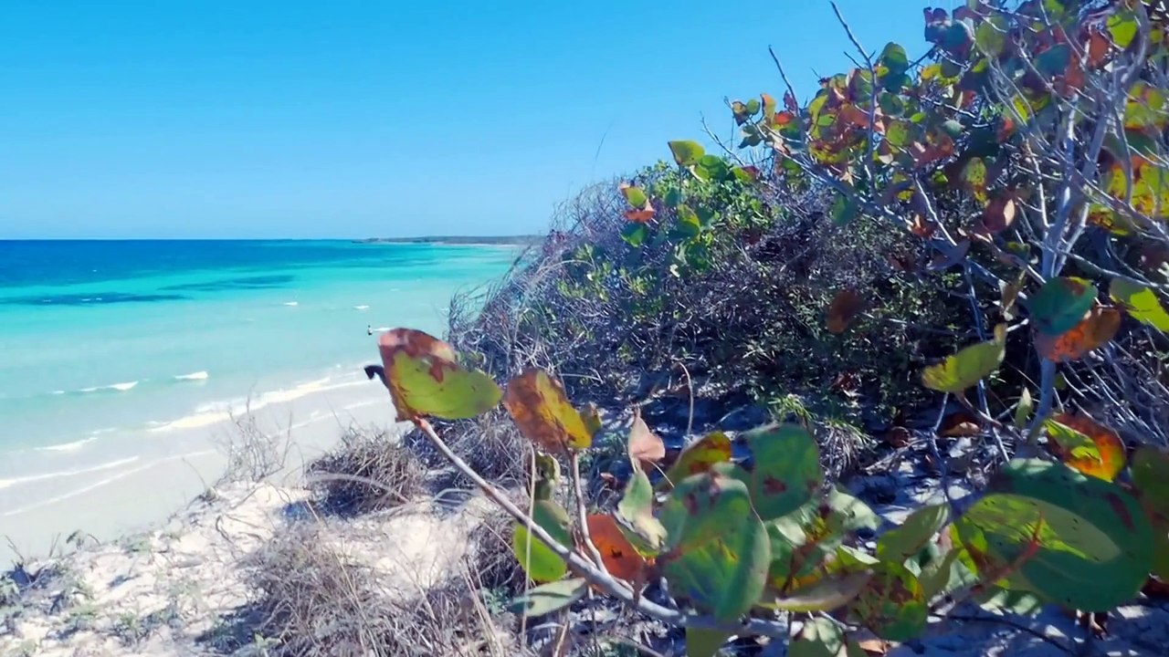 Beach visualization | Guided beach visualization meditation and relaxation | Beach walk visualization