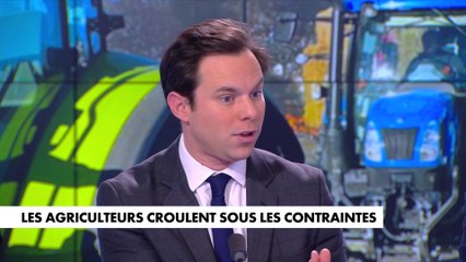 Louis de Raguenel : ««Au niveau européen, Emmanuel Macron s'est engagé dans une voie qui ne va pas dans le sens que défendent les agriculteurs»