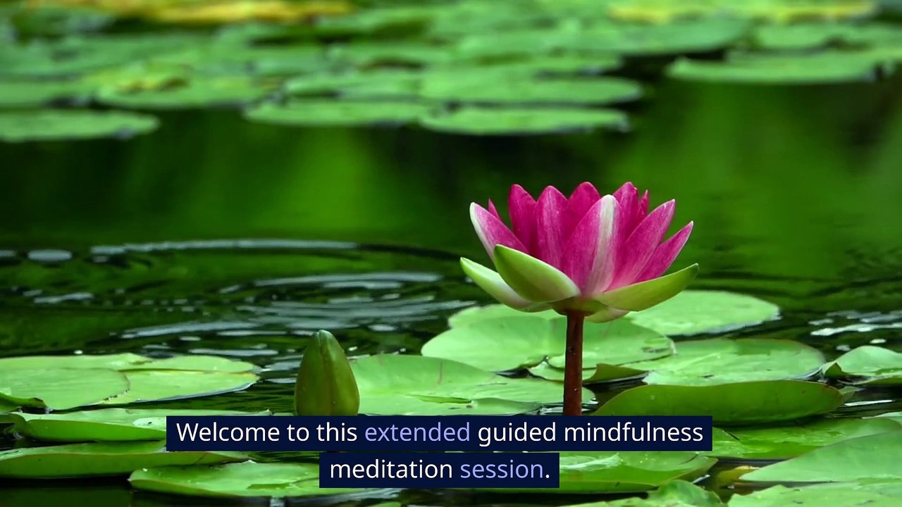 Zen Reflections | Guided mindfulness meditation for beginners - video ...
