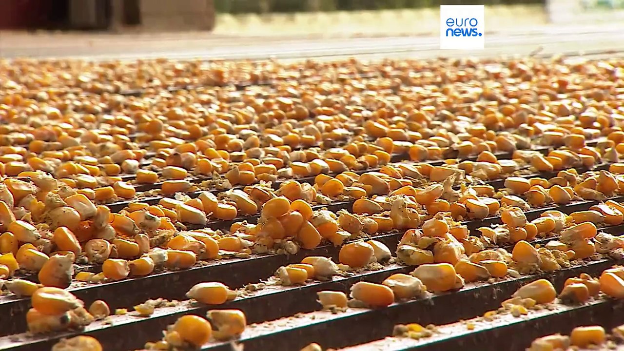 Nach Bauern-Demos: EU berät über Zukunft der Landwirtschaft