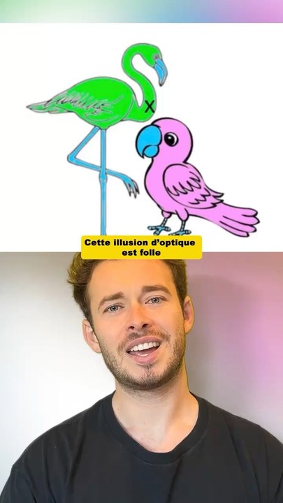 Cette illusion d’optique est folle