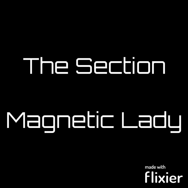 The Section - Magnetic Lady