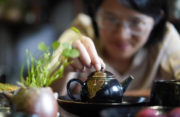 Drinking three cups of tea a day slows down ageing
