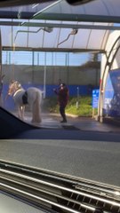 Horse Gets Hosed Off at Car Wash