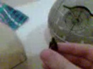 Flo comp. Feat Dark Vador