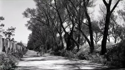 Guitarras de medianoche - Película completa en español