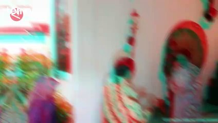 Rencana Pertemuan Megawati dan Jokowi, TPN: Pasti Terjadi