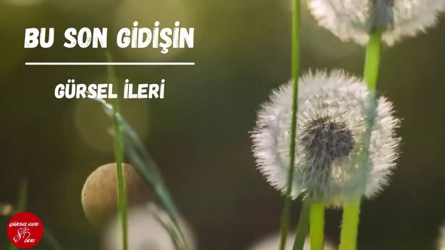 Gürsel İleri - Bu Son Gidişin