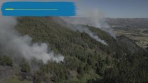 Declara Colombia desastre y calamidad por incendios forestales