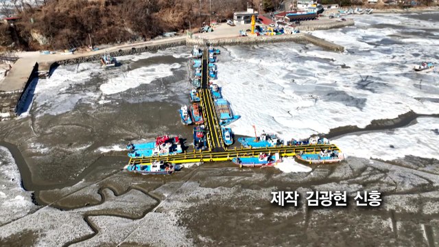 [영상] 계속된 한파에 강도 꽁꽁 바다도 꽁꽁 / YTN