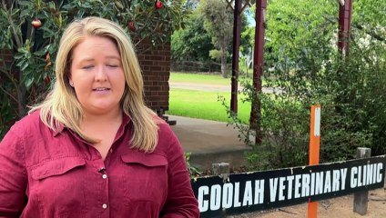 Heatwave causing issues to livestock and pets