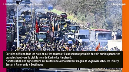 "Si je peux aider..." Karine Le Marchand bientôt promue ministre de l'agriculture ? Sa drôle de réponse