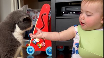Cat Who Only Loves Dad Gets A Baby Sister