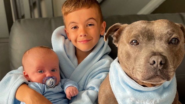 Pittie Teaches His Little Human Important Lessons On How To Be A Big Brother