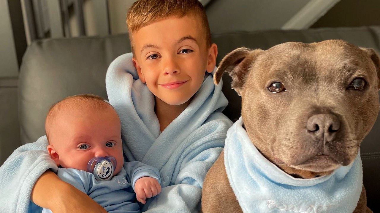 Pittie Teaches His Little Human Important Lesso...