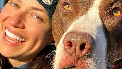 Pittie Kicked Out Of Dog Park Does The Most Amazing Thing