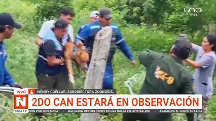 2do can estará en observación