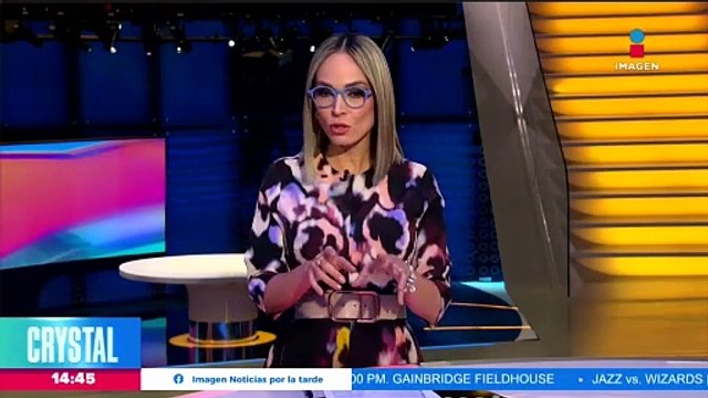 Captan a familia de osos buscando comida en contenedores de basura